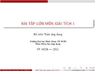 Bài tập lớn môn Giải tích 1
