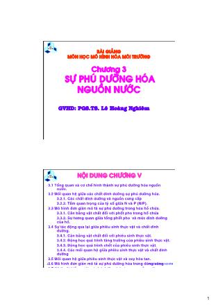 Bài giảng Mô hình hóa môi trường - Chương 3: Sự phú dưỡng hóa nguồn nước - Lê Hoàng Nghiêm