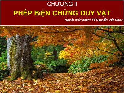 Bài giảng Những nguyên lý cơ bản của chủ nghĩa Mác - Lênin - Chương 2: Phép biện chứng duy vật (Phần 1) - Nguyễn Văn Ngọc