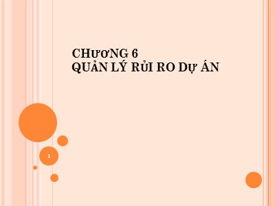 Bài giảng Quản lý dự án - Chương 6: Quản lý rủi ro dự án