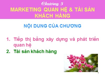 Bài giảng Tiếp thị giữa các tổ chức - Chương 5: Marketing quan hệ & Tài sản khách hàng - Dương Thị Ngọc Liên