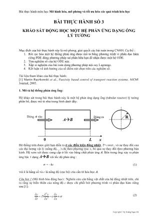 Tài liệu thực hành môn học Mô hình hóa, mô phỏng và tối ưu hóa các quá trình hóa học - Bài thực hành số 3: Khảo sát động học một hệ phản ứng dạng ống lý tưởng
