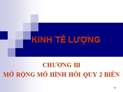 Bài giảng Kinh tế lượng - Chương 3: Mở rộng mô hình hồi quy 2 biến
