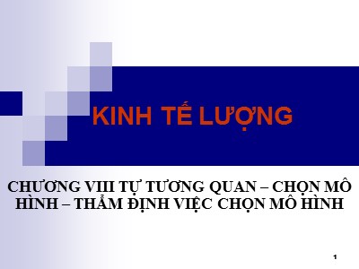 Bài giảng Kinh tế lượng - Chương 8: Tự tương quan – Chọn mô hình – Thẩm định việc chọn mô hình