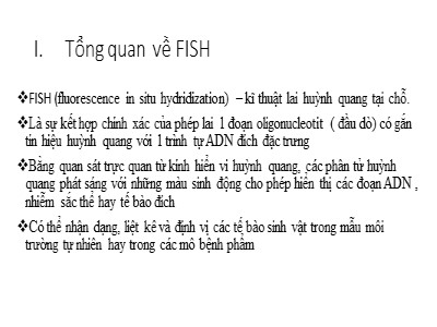 Bài giảng Tổng quan về FISH