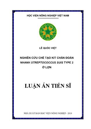 Luận án Nghiên cứu chế tạo kit chẩn đoán nhanh Streptococcus suis type 2 ở lợn