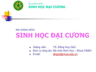 Bài giảng Sinh học đại cương - Chương IV: Tính cảm ứng và thích nghi của sinh vật