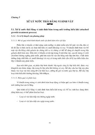 Bài giảng Vi sinh môi trường (Phần 2)
